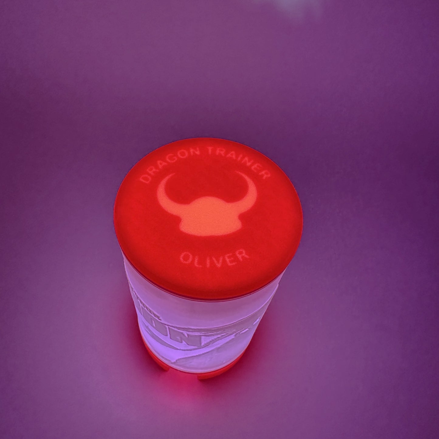 How To Train Your Dragon Night Light