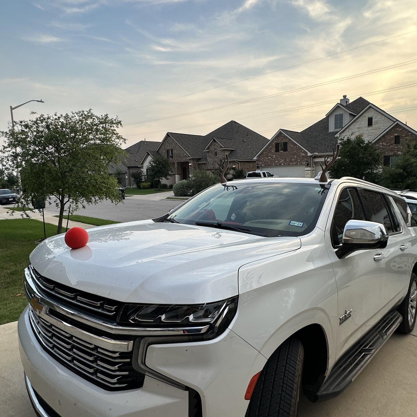 Car Reindeer Ornaments