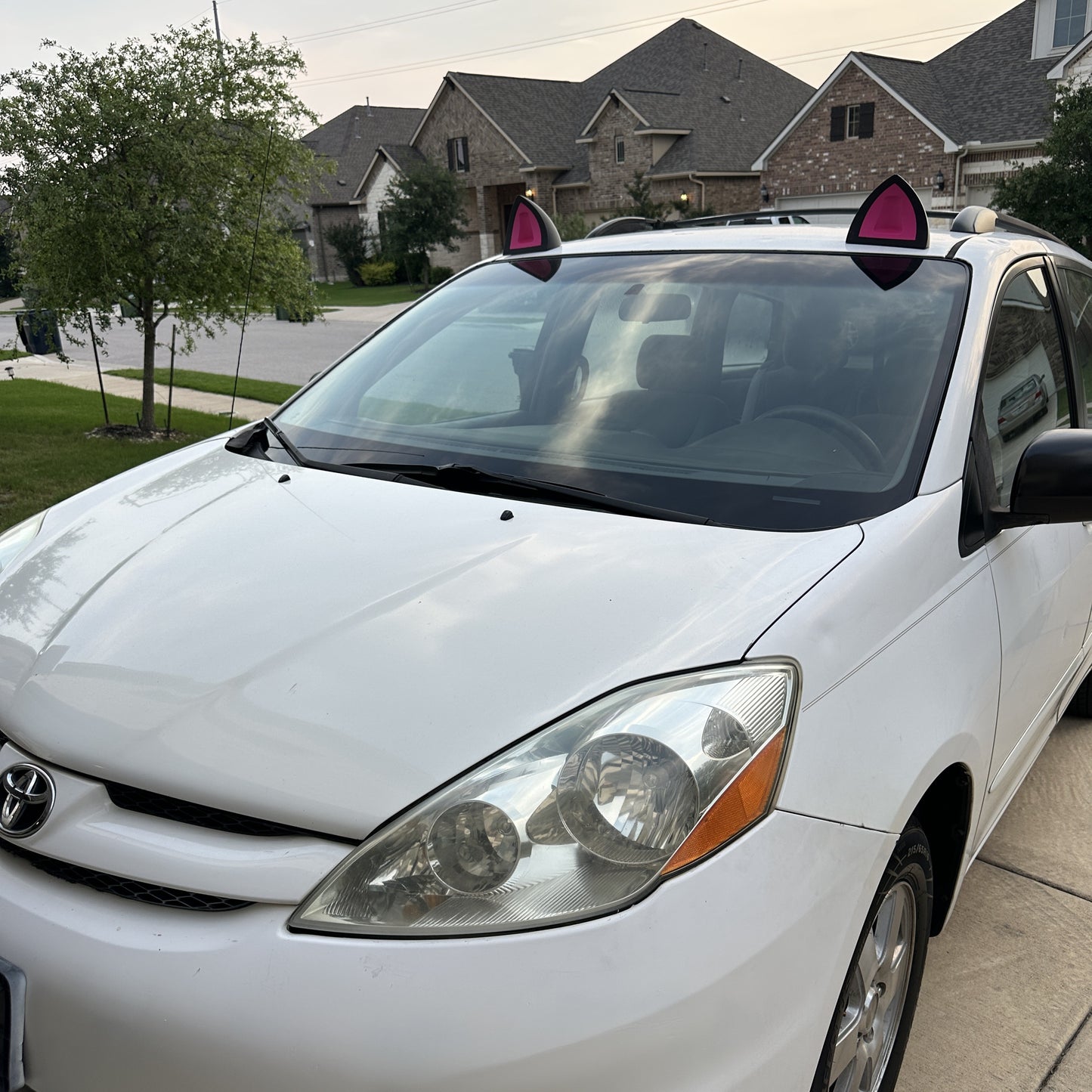 Cat Ears (Suction Cup Mount)