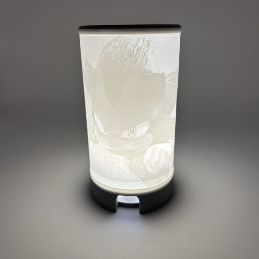 Night Light Shadow