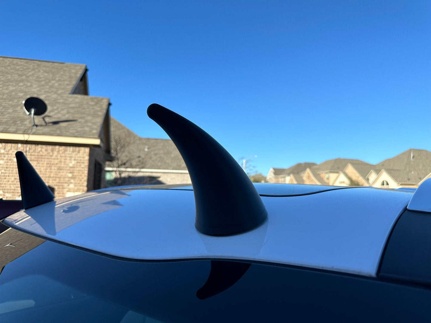 7" Car Cow Horns