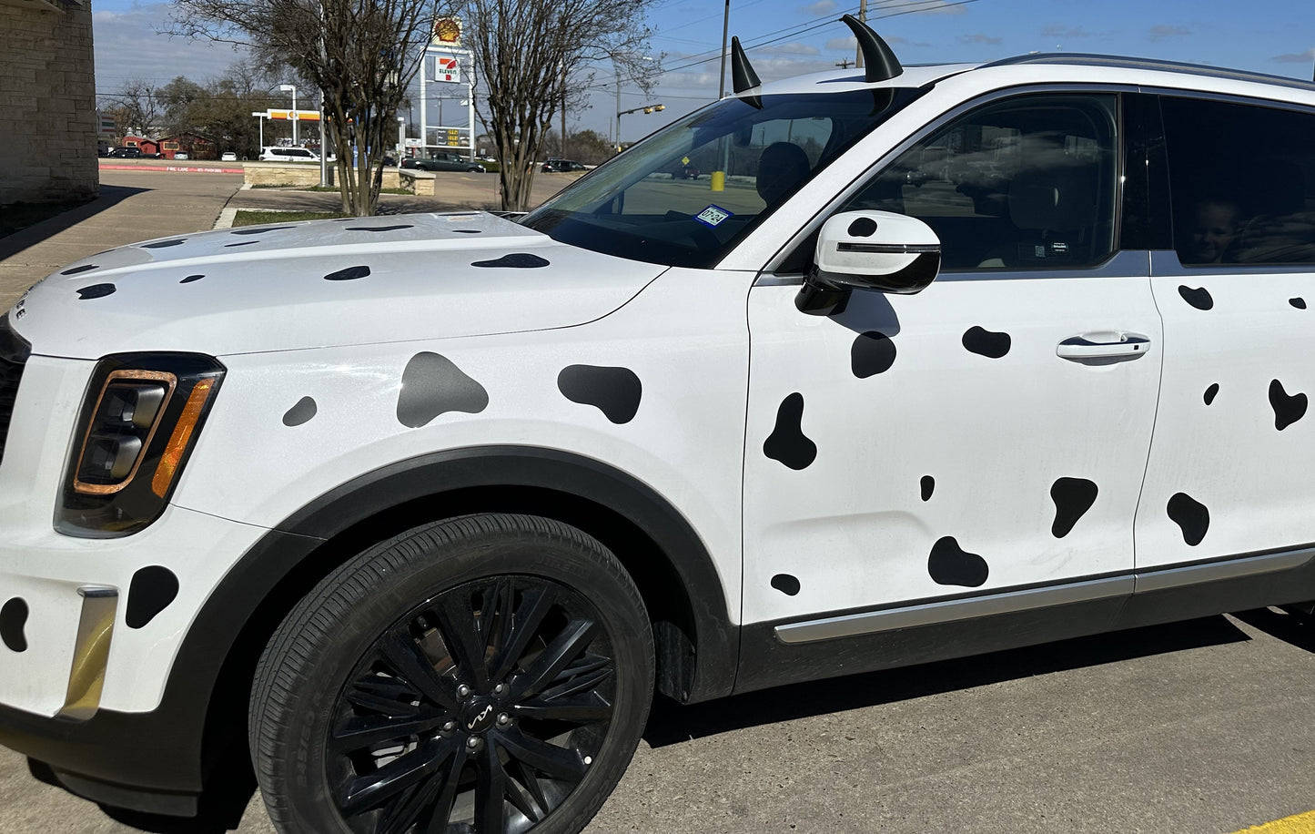 7" Car Cow Horns