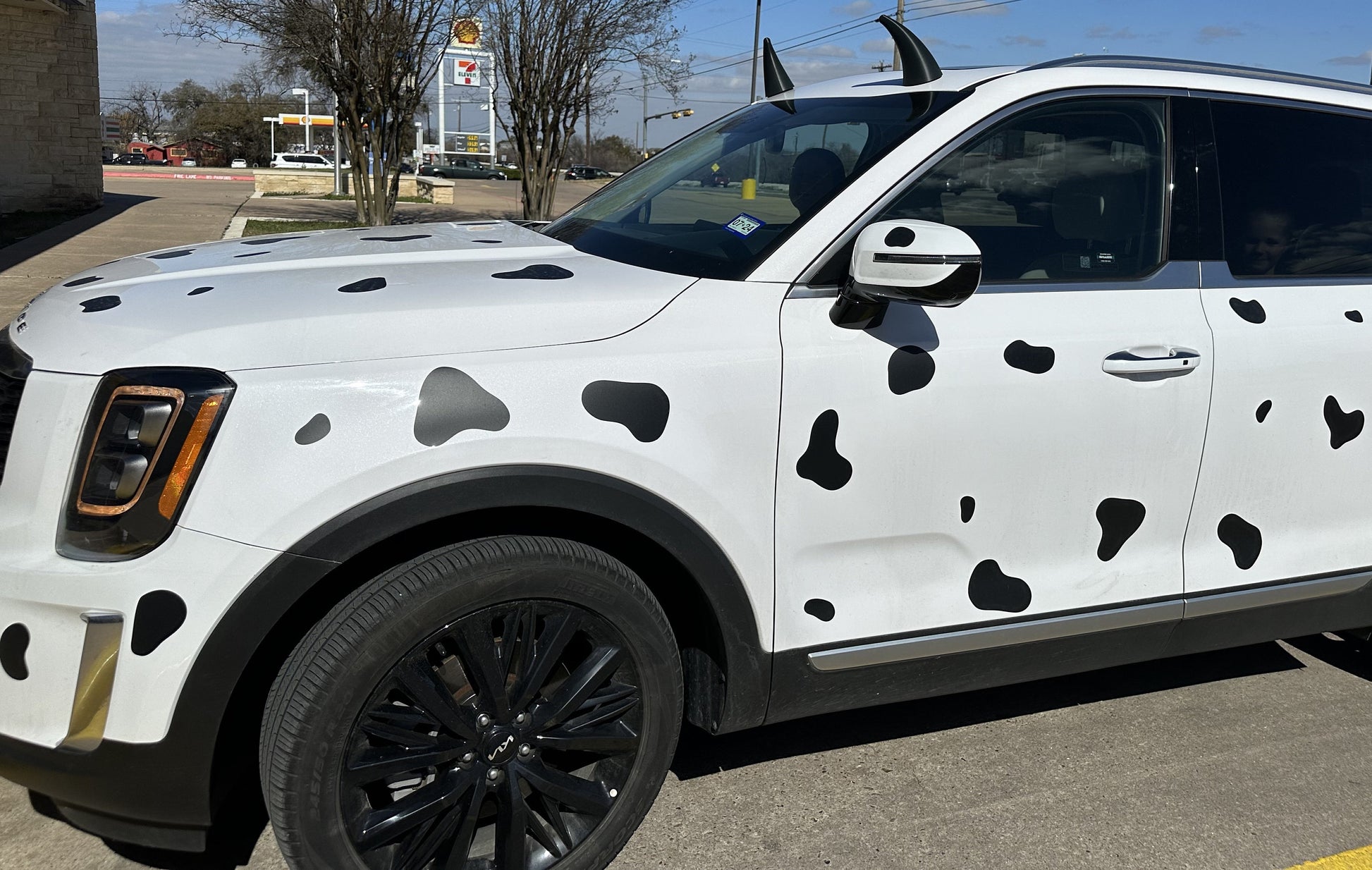 7" Car Cow Horns