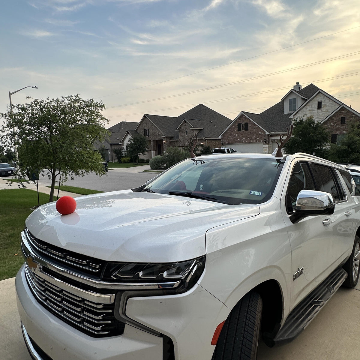 Car Reindeer Ornaments